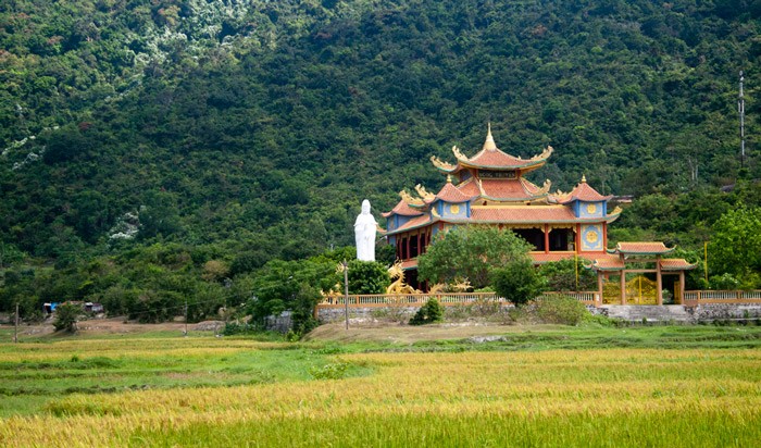 Cẩm nang du lịch Cù Lao Chàm